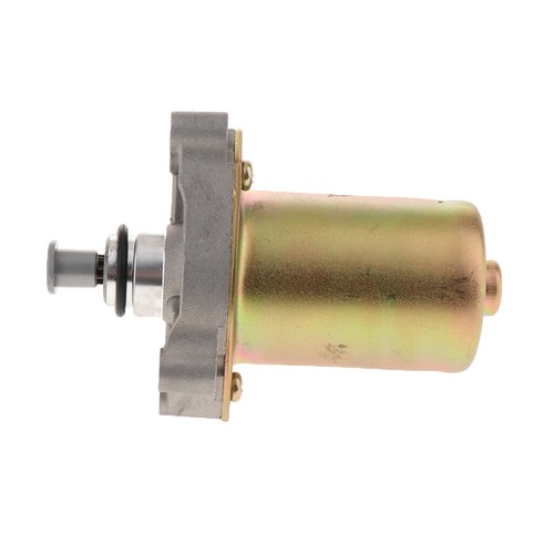 Electric starter motor for - electric,