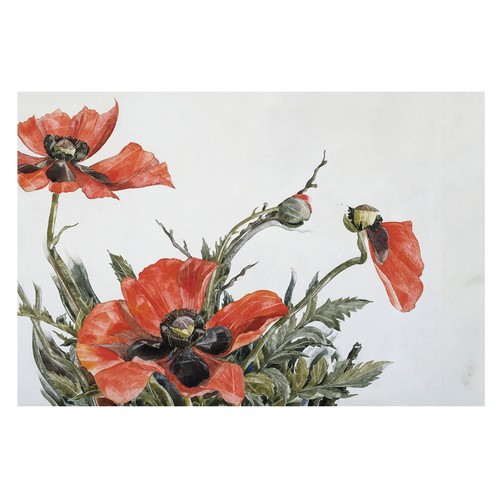 Non woven photo wallpaper - wallpaper, wall