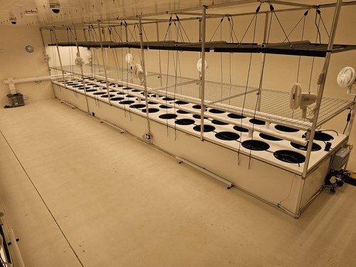 Aeroponic hydroponic - ai,