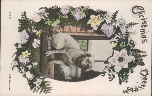 Christmas greeting floral