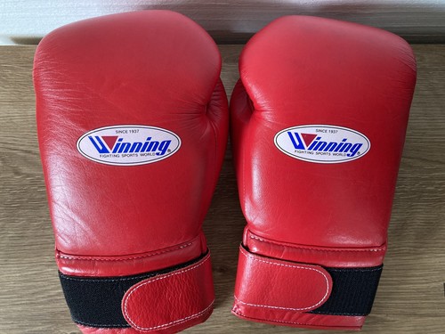 Winning boxing gloves - winning,