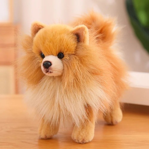Cute pomeranian dog plush - pomeranian,