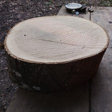 Ash Firewood Chopping Block