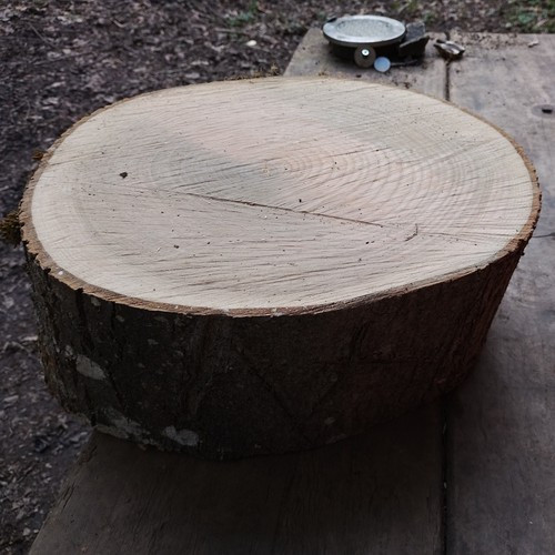 Ash firewood chopping - ash,