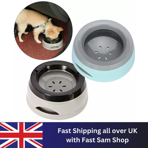 Dog drinking water - dog, bowl