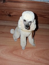 WHITE POODLE DOG BY LEONARDO