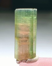 Top Quailty Bi-Colour