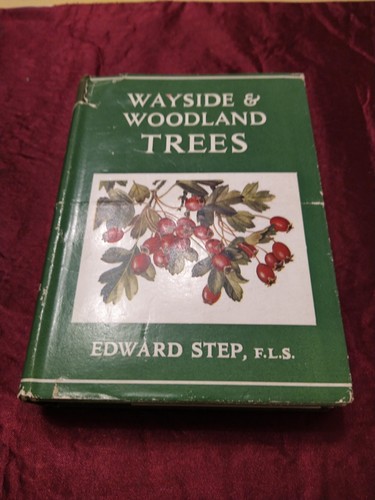 Wayside and woodland trees - woodland,