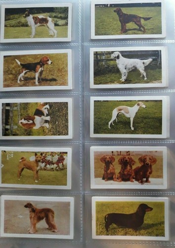 Hornimans tea dogs - hornimans, choose