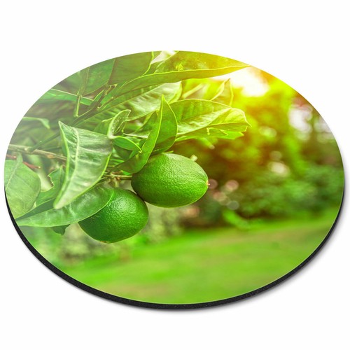 Round mouse mat - mouse, citrus