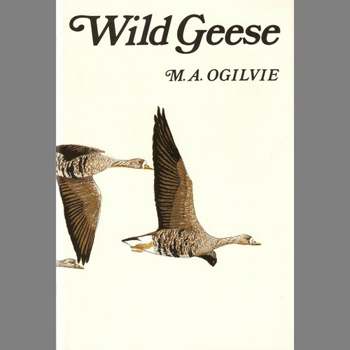 Ogilvie malcolm buteo poyser - ogilvie,