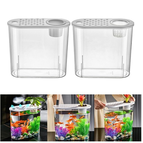 Aquaponic planter aquarium - aquaponic,