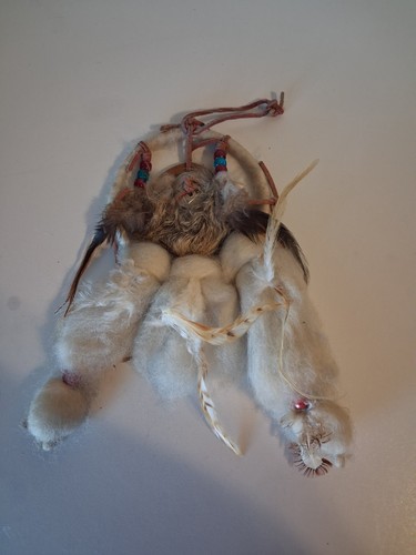 Native american dream - native,