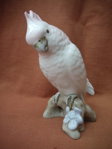 Royal dux cockatoo parrot - "cockatoo, /