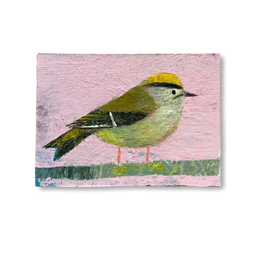 Goldcrest aceo original - -,