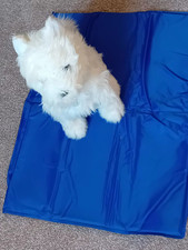 My Pet  Cooling Mat Medium Dog