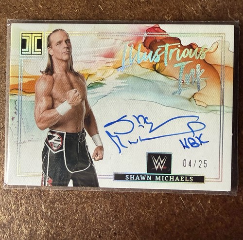 2023 panini impeccable wwe - 2023,