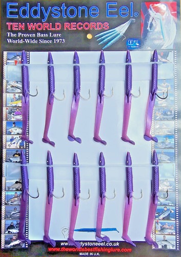 Sand eel eddystone - sand,