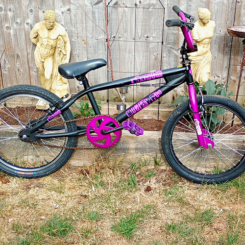 Muddy fox bmx bike 20in - muddy,