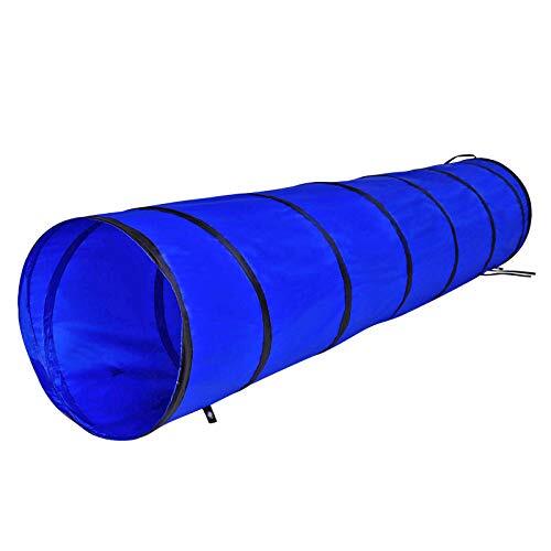 Dog tunnel play - tunnel,,
