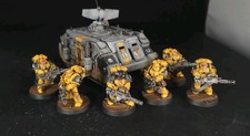 Pro Painted 40k Imperial Fists