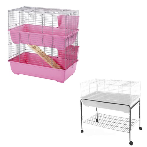 Rabbit guinea pig - guinea, bunny