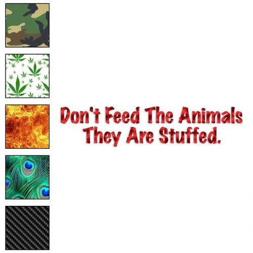 Don feed stuffed animals - stuffed,