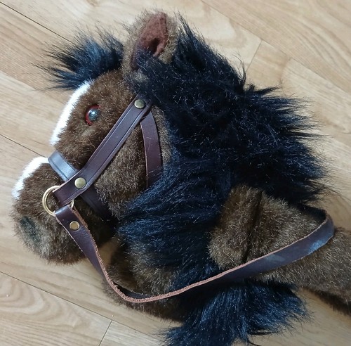 Riding pony wrap around - riding, pony,