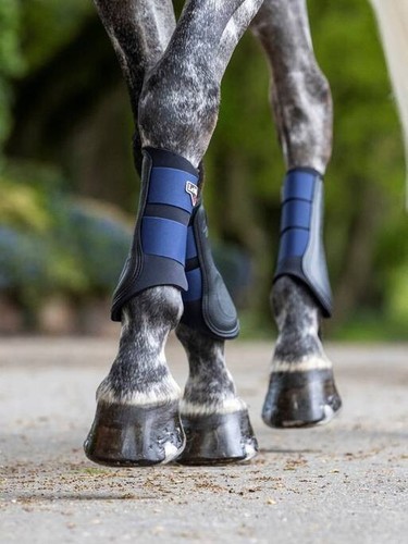 Lemieux grafter horse brushing - grafter,