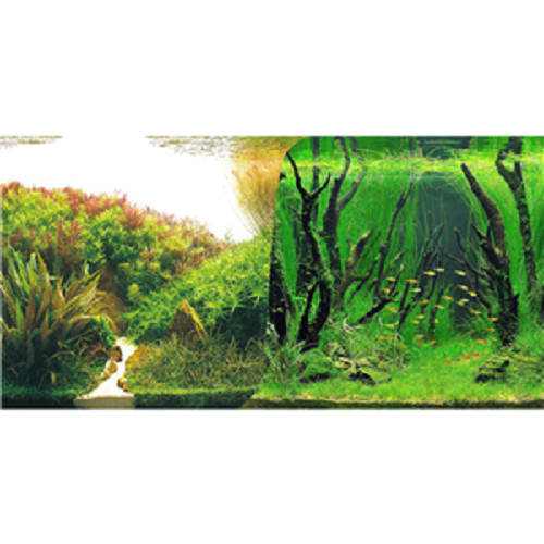 Seaview planted forest - /,