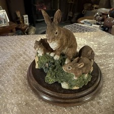 Rabbit Family Country Artists