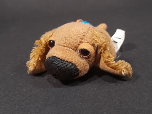 The dog plush cocker - the, spaniel