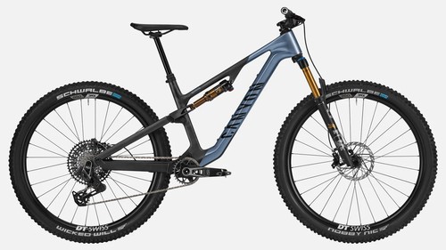 Canyon neuron 2023 - cf,