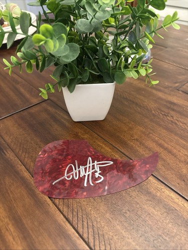 Billy strings signed - billy, acoustic