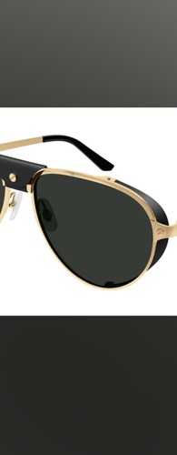 Cartier santos - cartier,