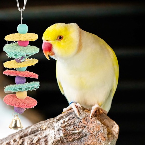 Bird toys for parrot birds - parrot,