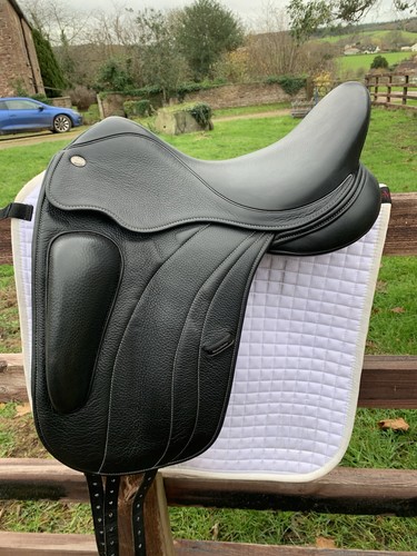 Fairfax rebecca dressage - fairfax,