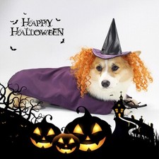 Funny Pet Dog Halloween Party