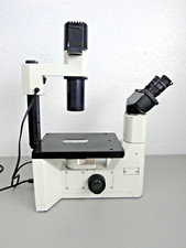 Leica Inverted Phase Contrast