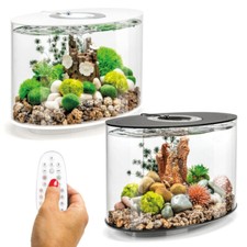 BiOrb Loop Aquarium 15L MCR