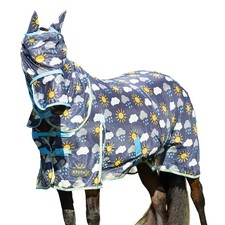 Hy Come Rain or Shine Horse