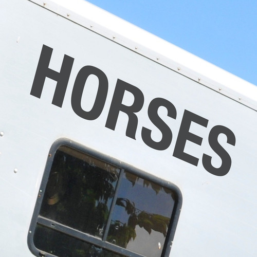 Horses decals horsebox - x2, 'horses'