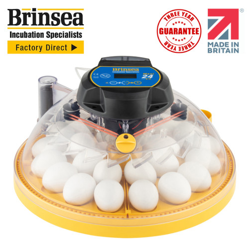 Brinsea maxi egg - ex,