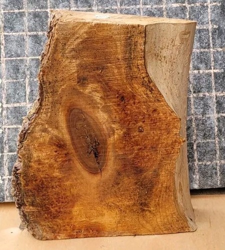 Timber scottish burr - timber, elm