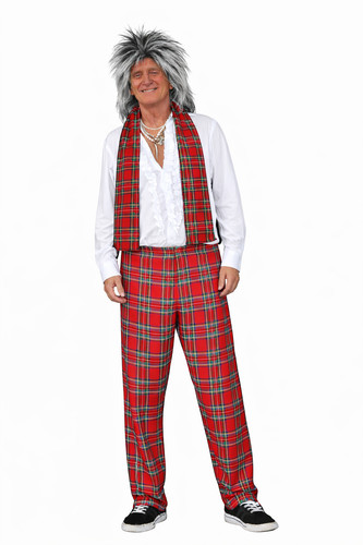Adults rock stewart tartan - adults,