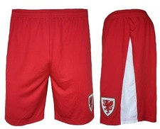 WALES Football Shorts Kids 10