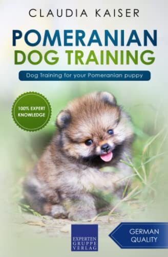 Pomeranian dog training - dog,