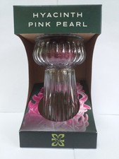 Gift Boxed PINK PEARL Hyacinth