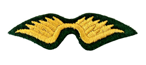 Girl scout patch badge wings - patch,