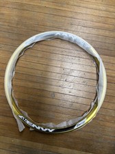 Envy FT Sun Ringle 20in Envy